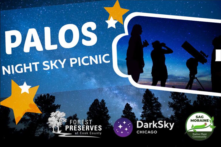 Palos Night Sky Picnic
