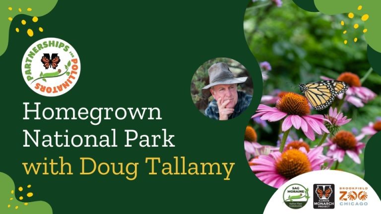 Homegrown National Park with Doug Tallamy