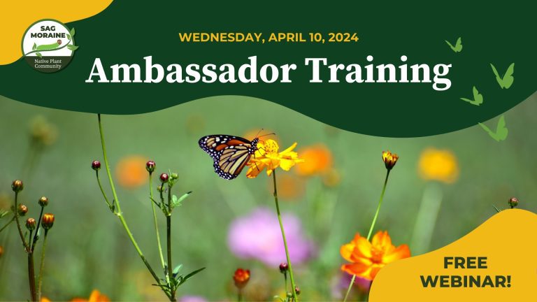 Ambassador Training