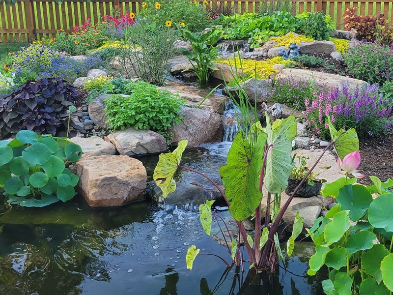 Good Steward Ecoscapes