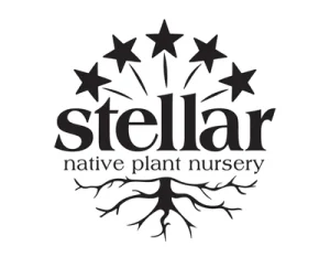 Stellar Natives