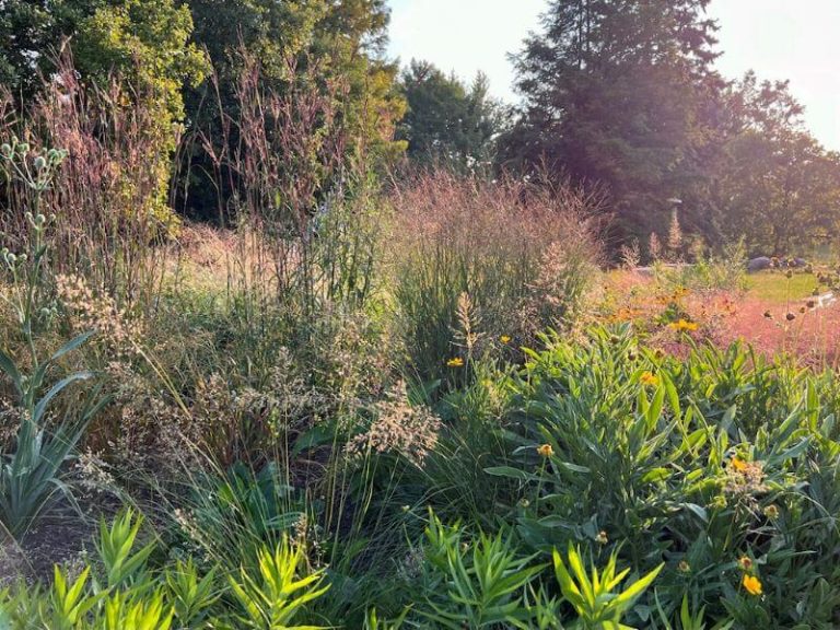 Resilient Garden Design